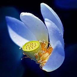 《Mirror 2》家园模式创意工坊正式开放 6月下旬更新下一章节